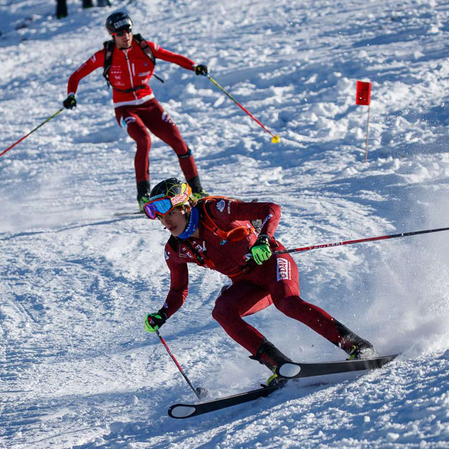 Skimo Zwei Skimo Athleten in der Abfahrt